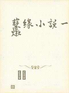 孽缘小说一家乱炖封面