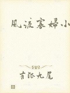 风流寡妇小说