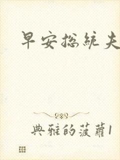 早安总统夫人