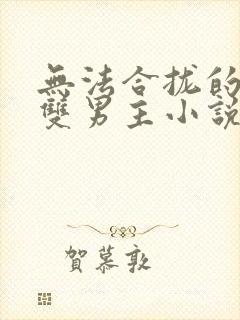 无法合拢的总裁双男主小说封面