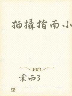 拍摄指南小说