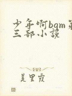 少年啊bgm第三部小说