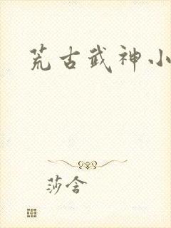 荒古武神小说