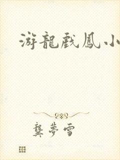 游龙戏凤小说
