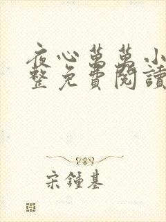 夜心万万小说完整免费阅读全文