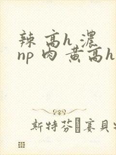 辣 高h 浓 np 肉 黄高h