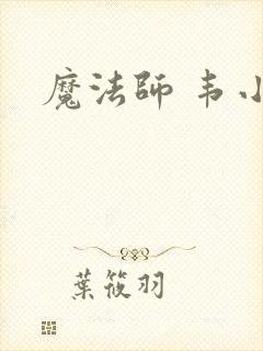 魔法师 韦小宝