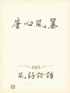 唐心风暴