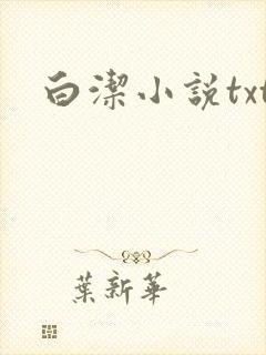 白洁小说txt封面