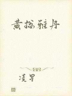 黄总雅丹封面
