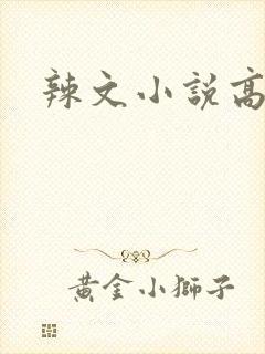 辣文小说高h