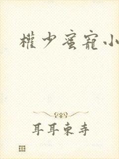 权少蜜宠小娇妻