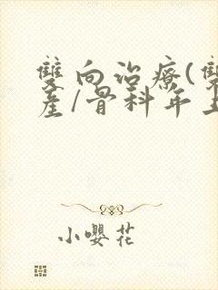 双向治疗(双/产/骨科年上)封面