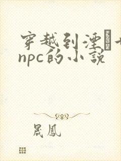 穿越到湮婸世界npc的小说