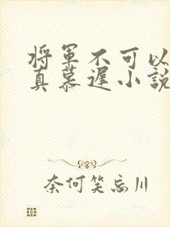 将军不可以魏云真慕迟小说笔趣阁封面
