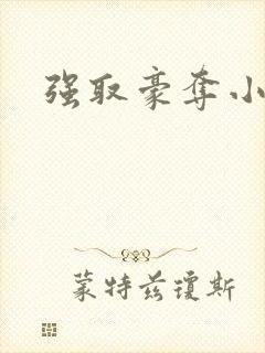 强取豪夺小说
