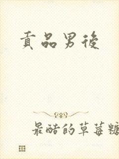 贡品男后