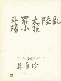 斗罗大陆乱世浮殇小说