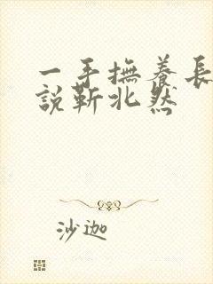 一手抚养长大小说靳北然封面