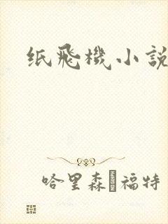纸飞机小说