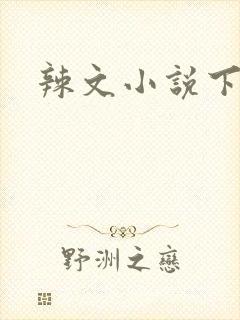 辣文小说下载封面
