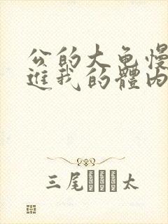 公的大龟慢慢挺进我的体内