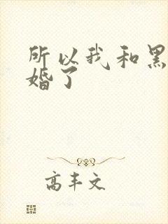 所以我和黑粉结婚了