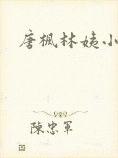 唐枫林姨小说