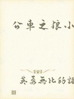 公车之狼小说