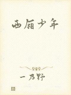 西厢少年