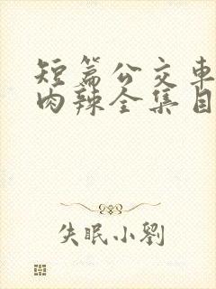 短篇公交车高h肉辣全集目录