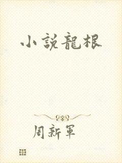 小说龙根