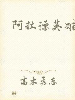 阿拉德英雄传封面