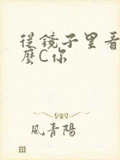 从镜子里看我怎么C你