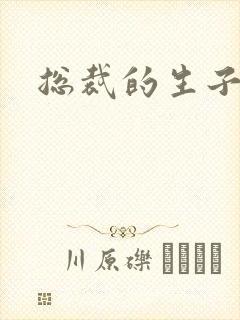总裁的生子情人