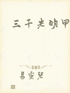 三千光明甲封面