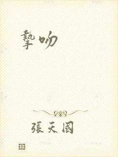 挚吻