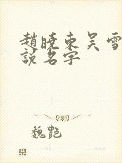 赵晓东吴雪晴小说名字