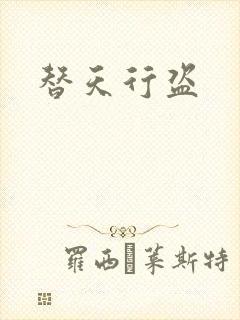 替天行盗