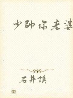 少帅你老婆