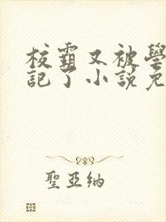 校霸又被学神标记了小说免费阅读封面