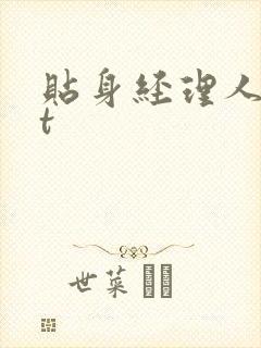 贴身经理人txt