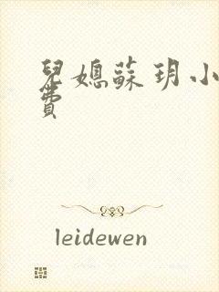 儿媳苏玥小说免费