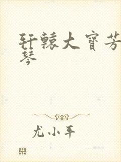 轩辕大宝芳菲雅琴封面