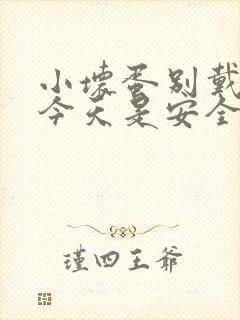 小坏蛋别戴套了今天是安全期封面