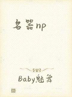 名器np封面