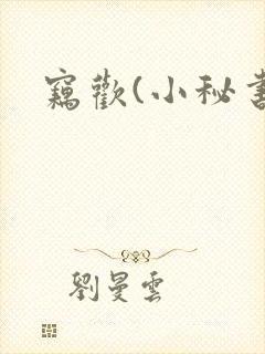 窃欢(小秘书)