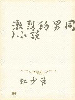 激烈的男同(h)小说封面