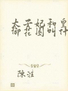 太子妃和皇帝在御花园叫什么小说封面