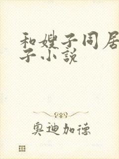 和嫂子同居的日子小说封面